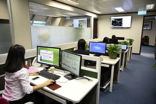 Employee working in office