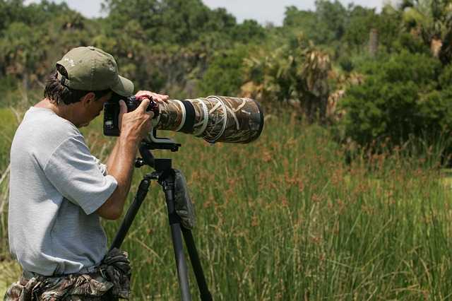 Wildlife Photographers