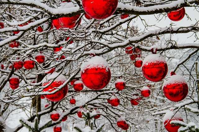 Nature photography