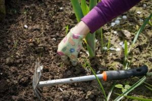 inspection for garden